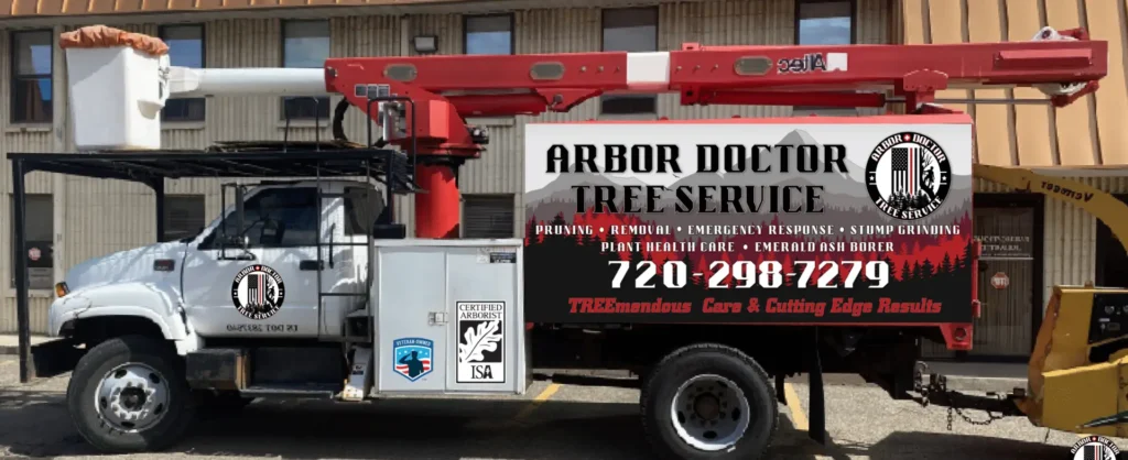 arbor doctor service areas