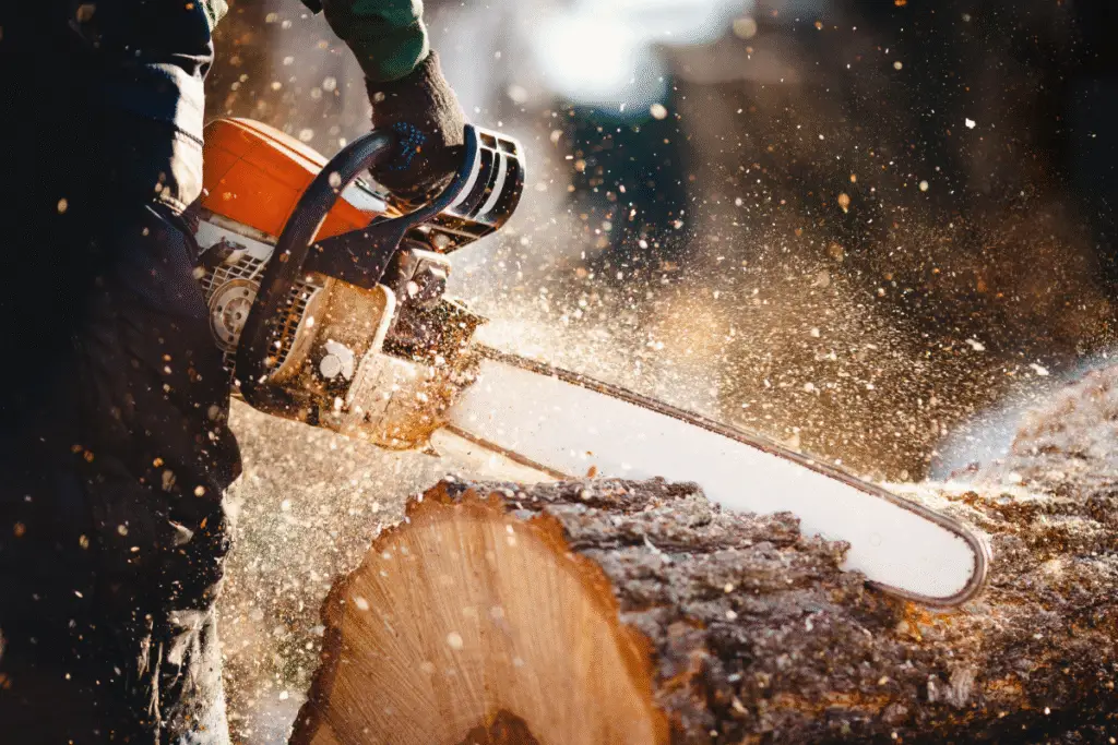 tree removal service