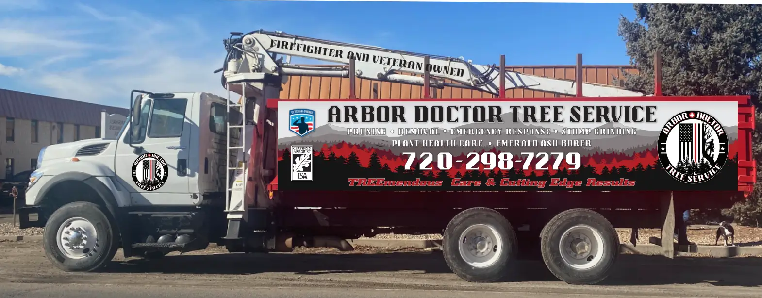 about arbor doctor tree service