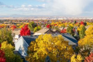 Wheat Ridge colorado tree services