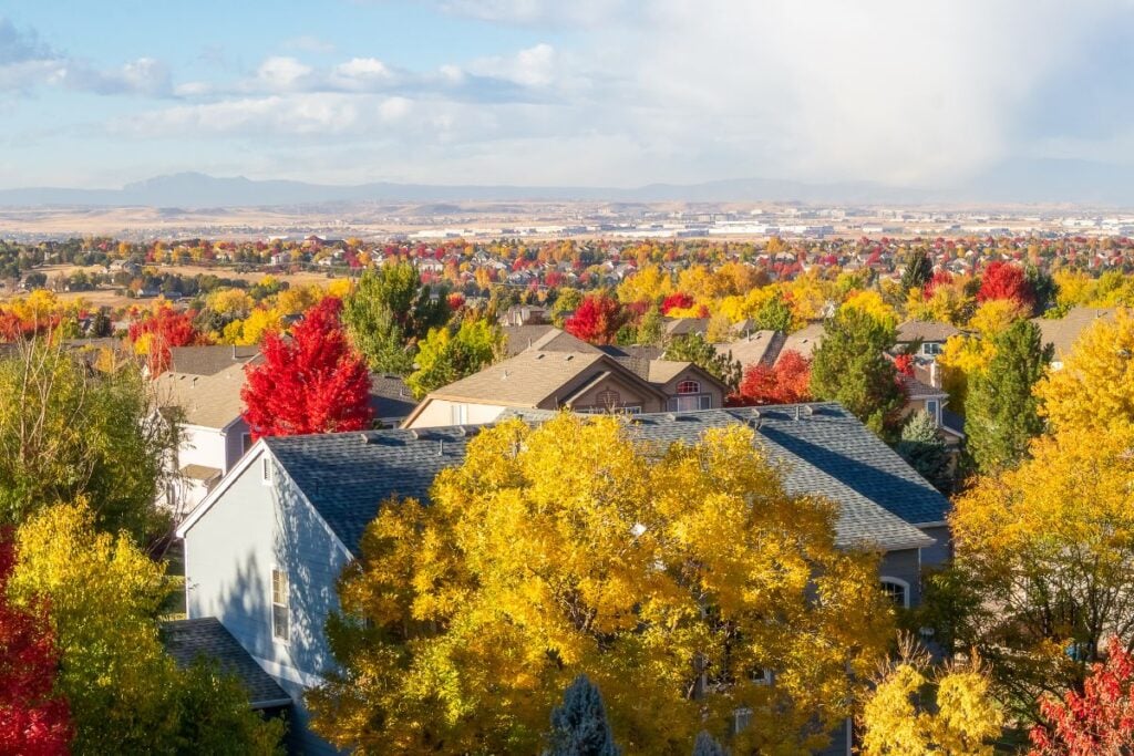 Wheat Ridge colorado tree services