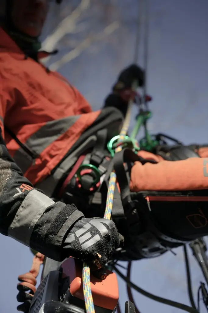 arborist service areas denver colorado