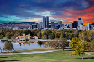 denver tree service