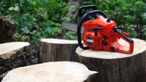 tree stump grinding services